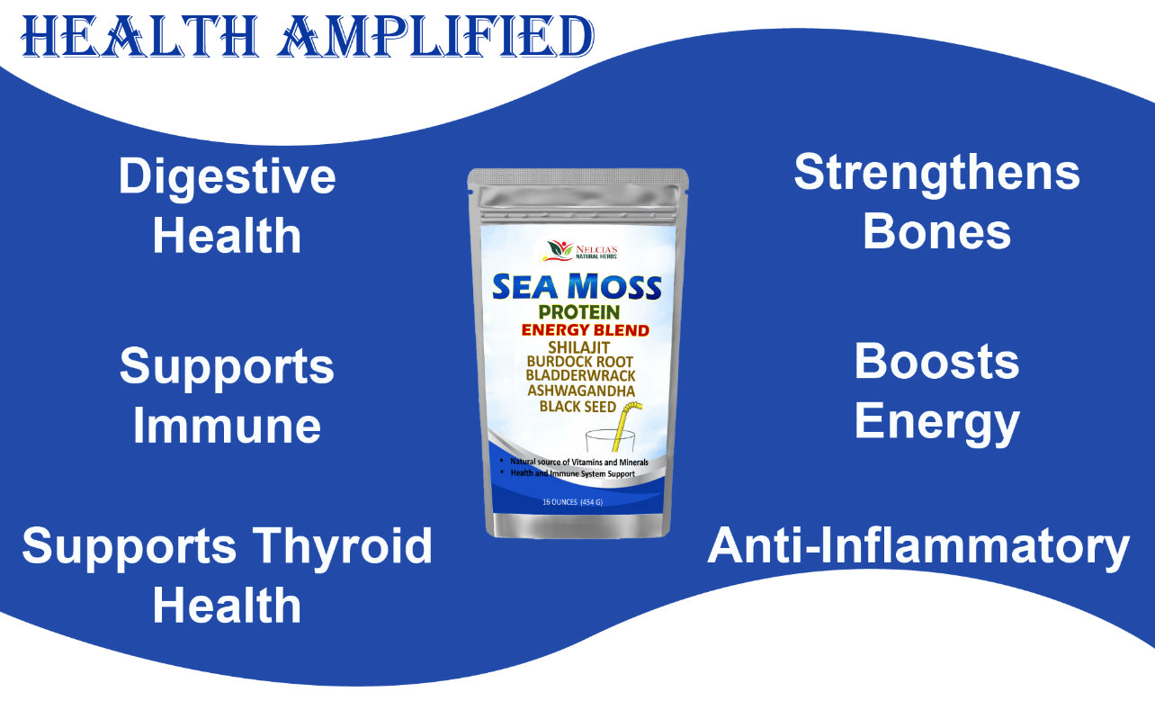 Nelcia's Natural Herbs Sea Moss & Ashwagandha Protein Powder with Black Seed & Shilajit – 16oz