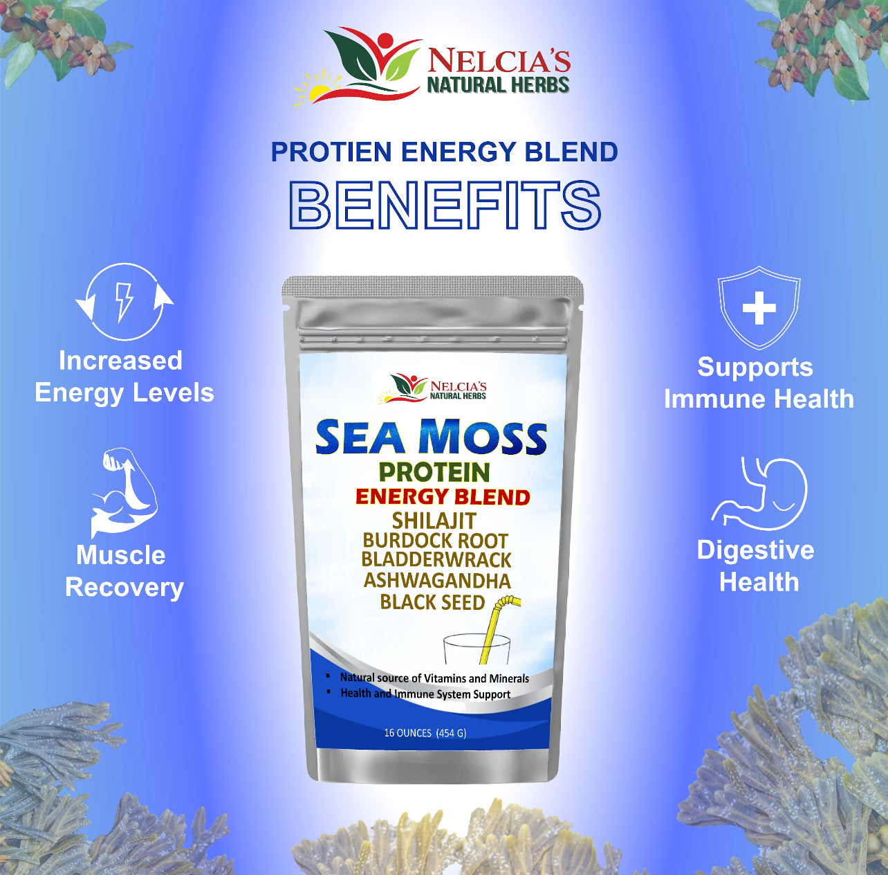 Nelcia's Natural Herbs Sea Moss & Ashwagandha Protein Powder with Black Seed & Shilajit – 16oz